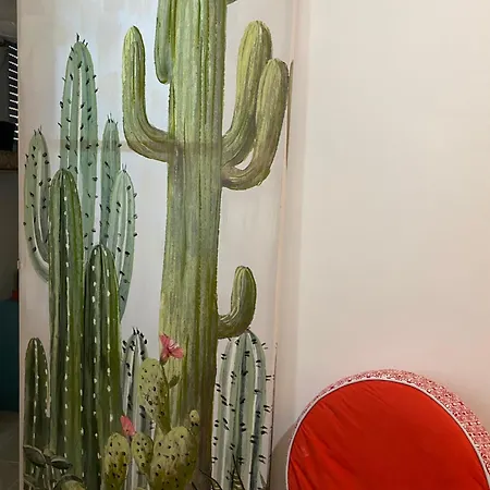 Apartment Casacholina